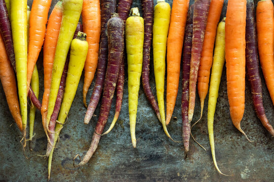 Colorful fresh carrots arranged neatly.