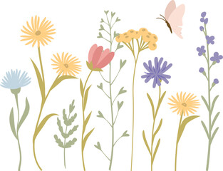 Fototapeta premium Wildflower Meadow With Butterfly Cartoon