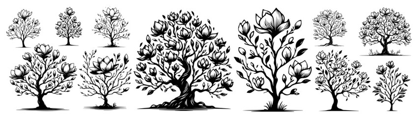 Blooming magnolia tree collection, hand drawn spring flowering trees set, garden botanical nature illustration vector © Luka
