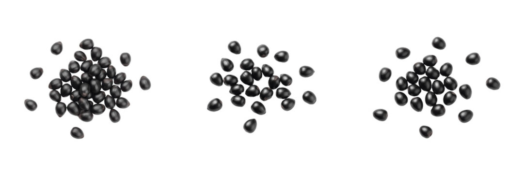 Kiwi Seeds (Actinidia deliciosa) Tiny Black Fruit Seeds, Kiwi Berry Seeds, Actinidia Seeds Isolated on White Background Macro Detail