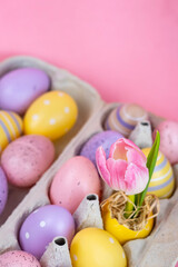 Fototapeta premium Close Up of Pink Tulip in Easter Egg Holder with Colorful Eggs – Spring Holiday Concept