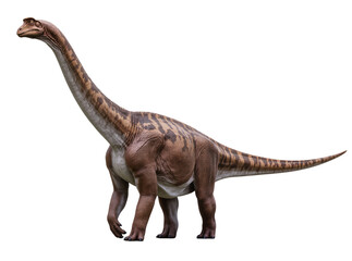 Isolated powerful long-necked dinosaur, walking with detailed skin texture and pattern © Cian