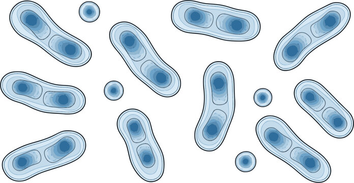 Blue transparent probiotics bacteria. concept of healthy nutrition ingredient for therapeutic purposes in white background.
