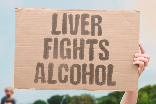 "Liver Fights Alcohol" The liver works hardest of all organs to process alcohol. LIVER. PROCESSING. HARDEST. ALCOHOL. ORGAN.