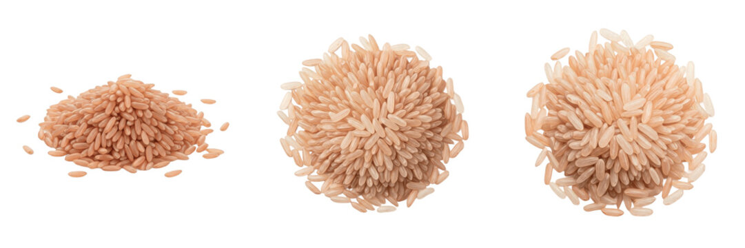 Malagasy pink rice Oryza sativa Madagascar pink rice vary mena grain traditional African rice raw uncooked зерна ориз isolated on white background studio shot