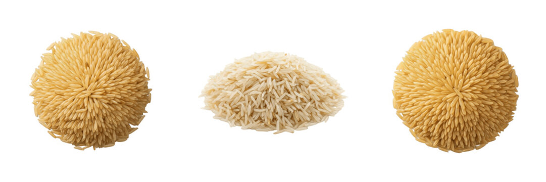 Afghan sela rice Oryza sativa parboiled rice چاول سیلا Afghanistan long grain converted rice raw uncooked зерна ориз isolated on white background studio shot