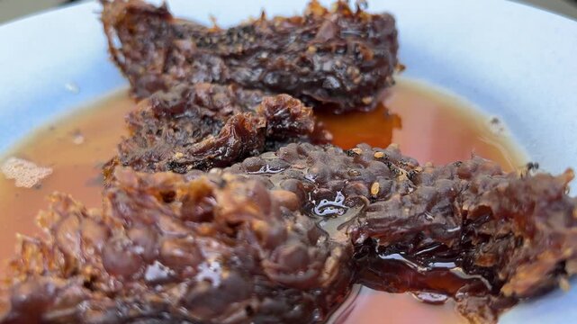 Klenceng bee nest (Apis florea) with the condition of the nest producing honey and eggs that have hatched. Klanceng bee larvae/pupae that have come out of the nest.