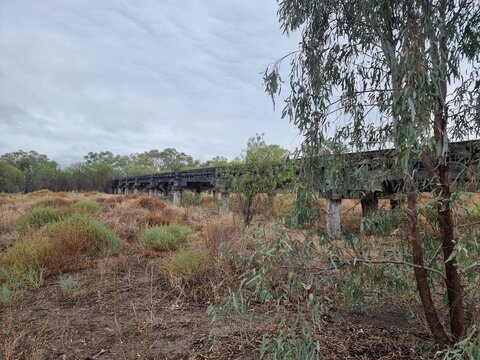 Abandoned Railway Trestle Bridge in the Australian Bush Near Walgett New South Wales