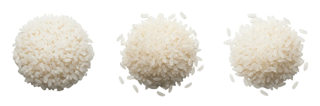 Steamed white rice grains Oryza sativa cooked fluffy white rice steamed rice texture separated grains cooked rice isolated on white background studio shot