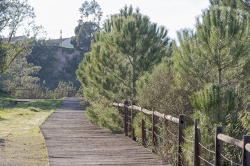 Fototapeta premium Lousal Mining Museum trail leading through pine forest