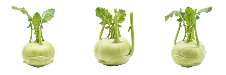 Fototapeta premium Kohlrabi (Brassica oleracea var. gongylodes) round stem vegetable isolated on white background, German turnip produce