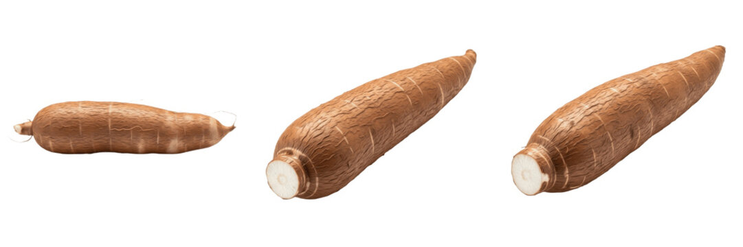 Cassava root (Manihot esculenta) long brown tuber vegetable isolated on white background, yuca manioc produce