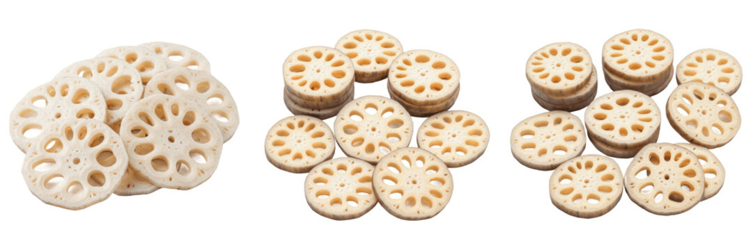 Lotus root slices (Nelumbo nucifera) cross-section aquatic rhizome vegetable isolated on white background, fresh lotus root produce