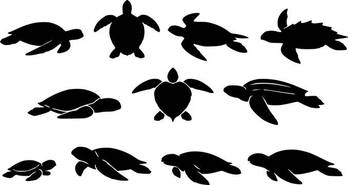 Sea turtle species collection silhouette vector illustration