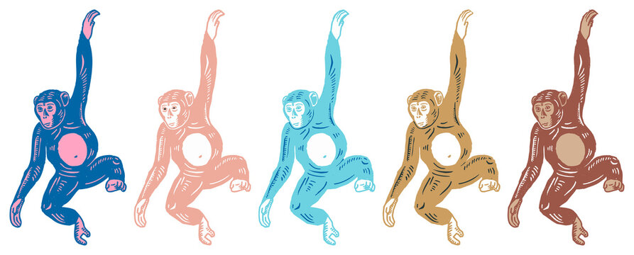 Colorful swinging monkey illustrations element set