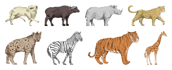 Obraz premium Illustrated wild animals collection