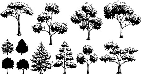 Fototapeta premium Diverse collection of hand-drawn tree illustrations and detailed silhouettes, featuring various species and shapes for nature, landscape, and design projects.