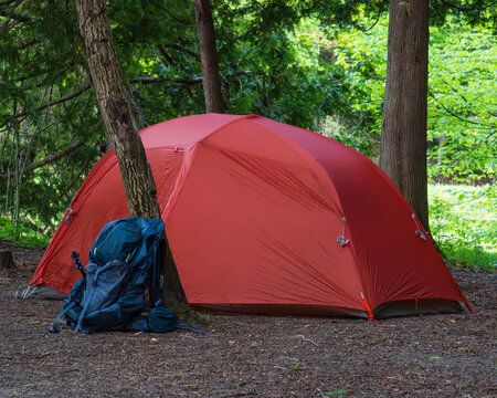Eye-level profile view of bright orange tent set up in forest clearing with a backpacking pack leaning against a nearby tree