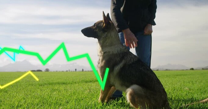 Senior woman patting dog, dog spotting motion and walking left, taut leash, tech neon lines overlap