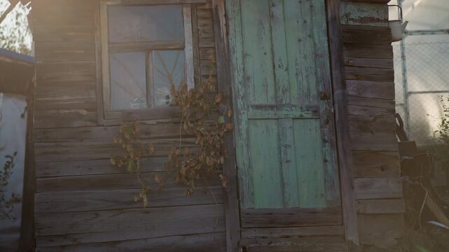 Sunlit weathered home facade teal door, peeling paint on wooden boards, dusty glass window with vine, warm backlight creating lens flare, quiet rural decay evoking nostalgia and solitude
