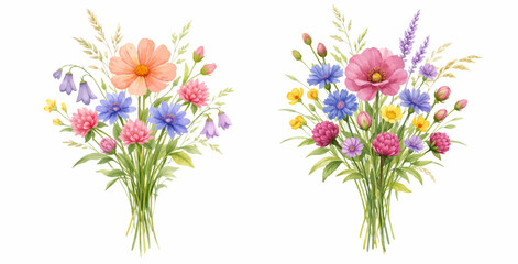 Fototapeta premium Watercolor wild flower bouquet collection illustration, colorful meadow floral arrangements isolated on white background