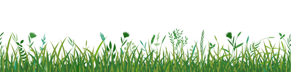 Fototapeta premium Drawn grass isolated on white background, seamless border, vector design