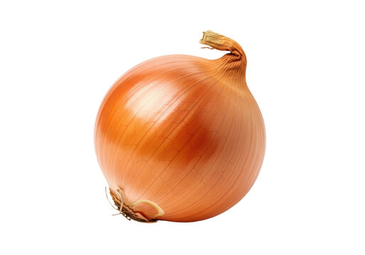 Fresh whole onion isolated on transparent background