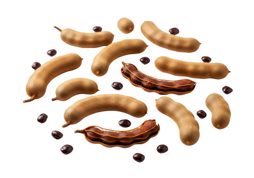 Tamarind pods and seeds isolated on transparent background