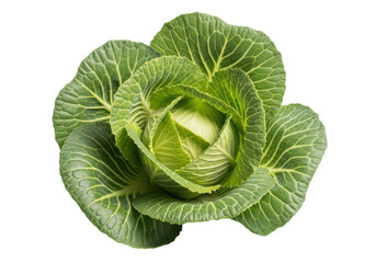 Obraz premium Fresh green cabbage head isolated on transparent background