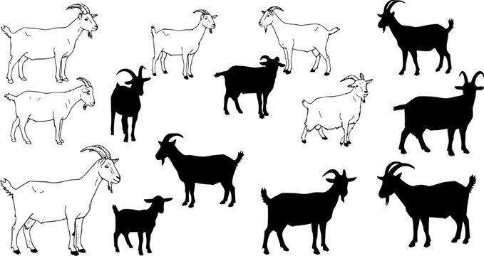 Black and White Goat Illustrations: Collection of Farm Animals in Outline and Silhouette Styles, Featuring Adult Goats and Kids