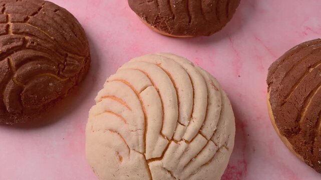 Sweet conchas with sugar crust, Mexican bread