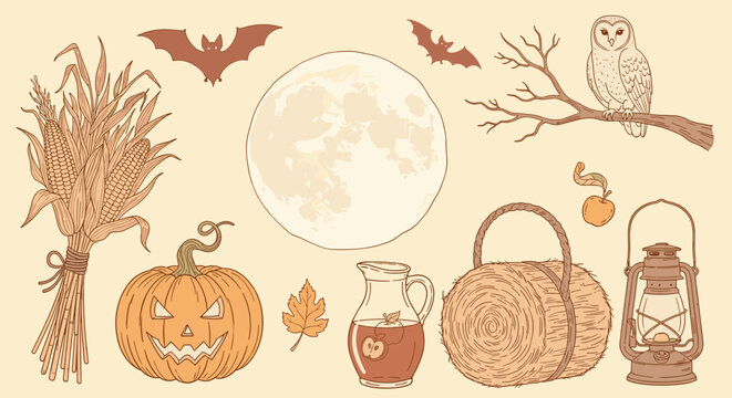 Autumnal Night Elements: Owl Moon Bat Pumpkin and Rustic Harvest Theme Set