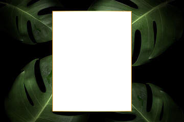 Green monstera leaf patterned frame design element © Rawpixel.com