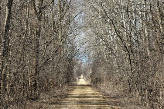 On a day in early spring, the Glacial Drumlin State Trail cuts a straight path through a forest of bare trees near Sullivan, Wisconsin.