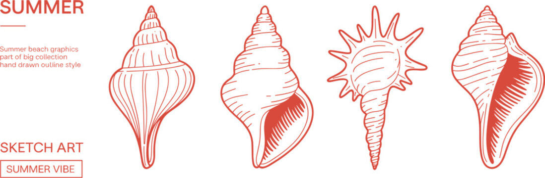 Flat vector illustration of seashells, summer beach graphics, hand‑drawn outline style, marine decorative elements