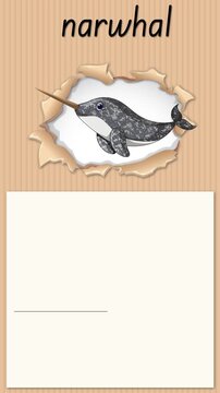Educational Alphabet Animation for Letter N with Narwhal Illustration