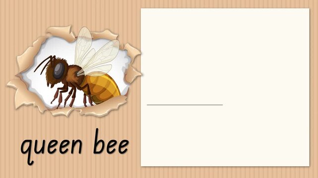 Educational Alphabet Animation for Letter Q with Queen Bee Illustration