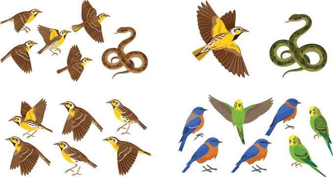 Wildlife vector illustration set featuring flying and perched birds, colorful parrots and budgies, and coiled snakes isolated animal collection