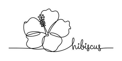 A single continuous line drawing of a hibiscus flower with the word hibiscus written next to it Vector, illustration © Creative_Outline2019