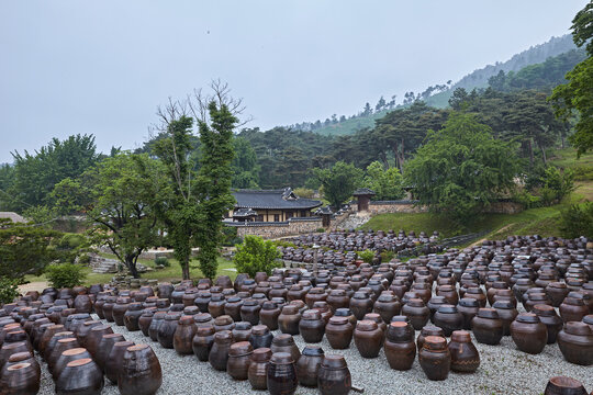 Traditional Korean earthenware jars in a hanok courtyard with historic architecture