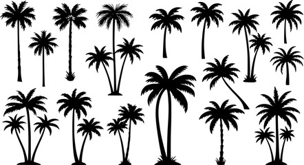 Fototapeta premium Diverse Tropical Palm Tree Silhouettes Vector Collection. Black and white, various shapes, sizes, and clusters for summer, beach, travel, and vacation designs.