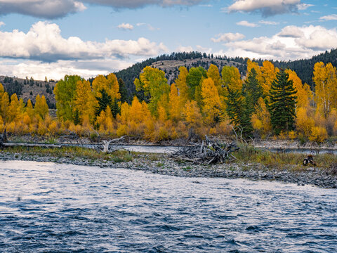 Autumn landscape at Grand Teton National Park, Wyoming.
