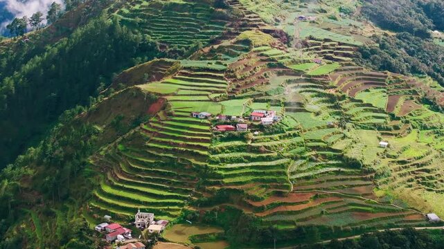 Sunlit terraced fields across hillside showing traditional farming, harmony