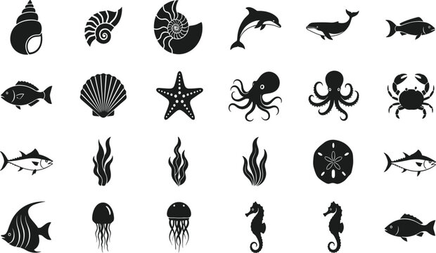 Sea animals silhouettes set including fish octopus dolphin shells and jellyfish isolated on white background, marine life vector illustration collection