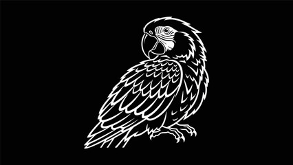 White parrot silhouette on black background © Ever