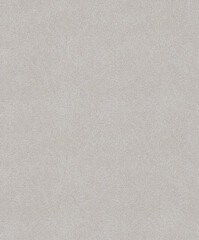 Fototapeta premium Seamless soft beige fabric texture with fine woven patterns and gentle tactile surface for background and wallpaper