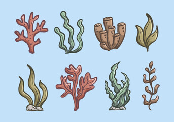 Ocean plants hand drawn illustration set. Coral shapes doodle set. Aquarium seaweed doodle collection. Undersea plants line art sketch elements containing algae, kelp, seaweed, eelgrass, and more. © Dean