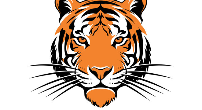 Close up of tiger face portrait.