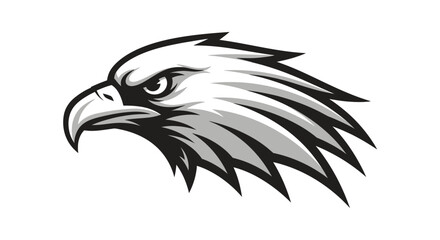 Obraz premium Detailed illustration of an eagle head.