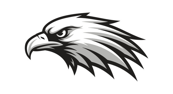 Detailed illustration of an eagle head.